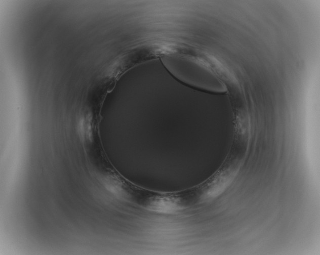 X0000112930223200908241307