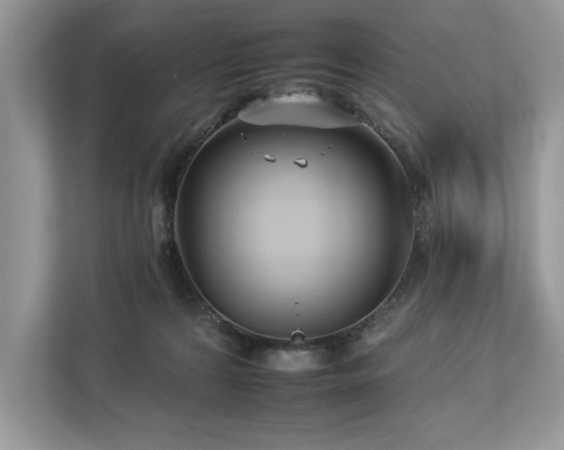 X0000112930224200908241307