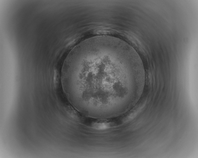 X0000112930228200908241307