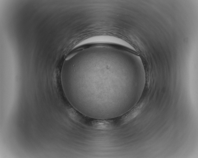 X0000112930229200908241307