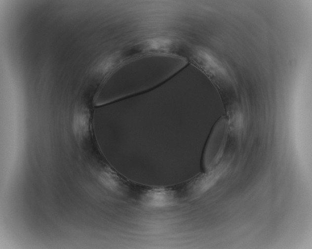 X0000112930231200908241306