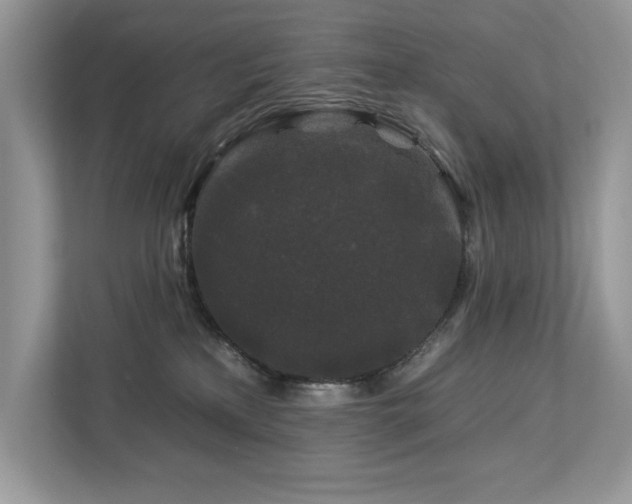 X0000112930233200908241306