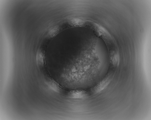 X0000112930235200908241306