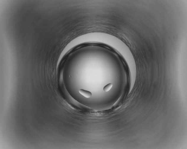 X0000112930237200908241306