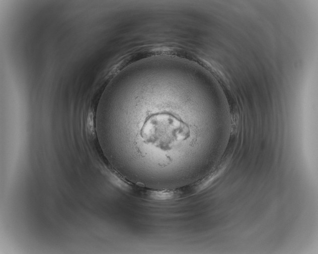 X0000112930238200908241306