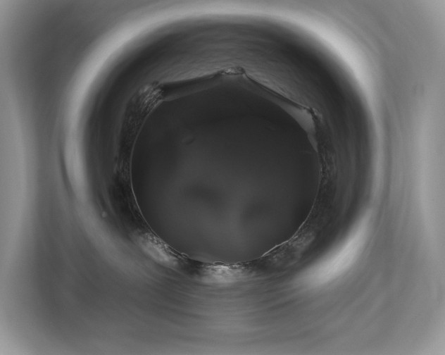 X0000112930239200908241306