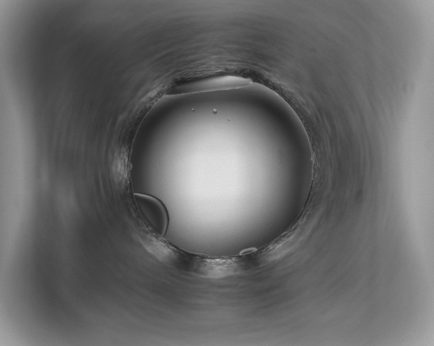 X0000112930240200908241306