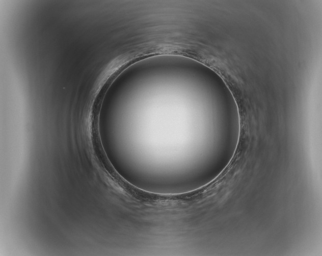 X0000112930242200908241306