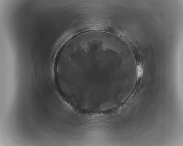 X0000112930243200908241306