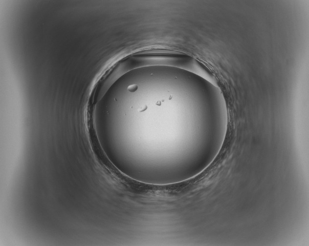 X0000112930244200908241306