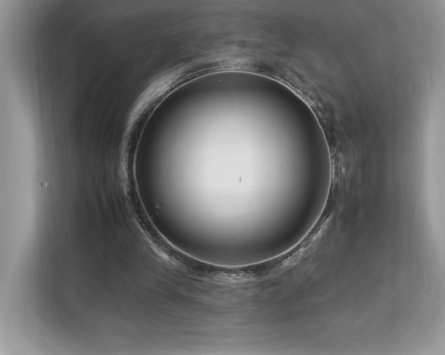 X0000112930245200908241306