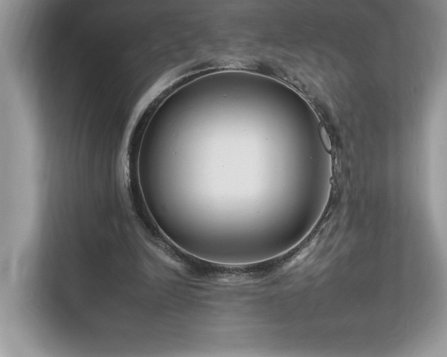 X0000112930246200908241306