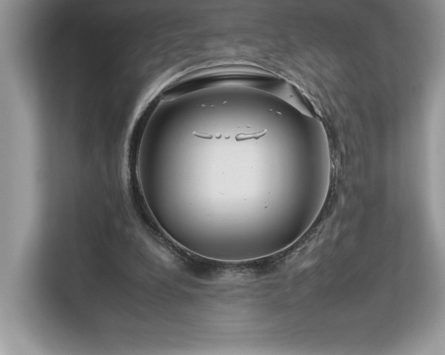 X0000112930248200908241306