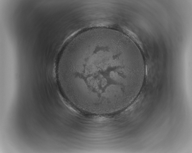 X0000112930249200908241306