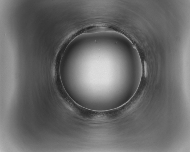 X0000112930252200908241306