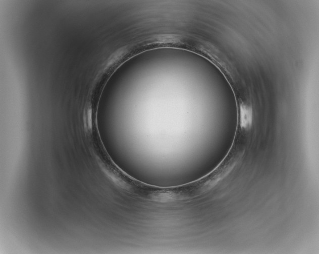 X0000112930253200908241306