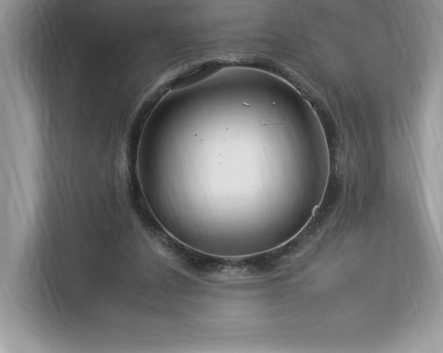 X0000112930256200908241306