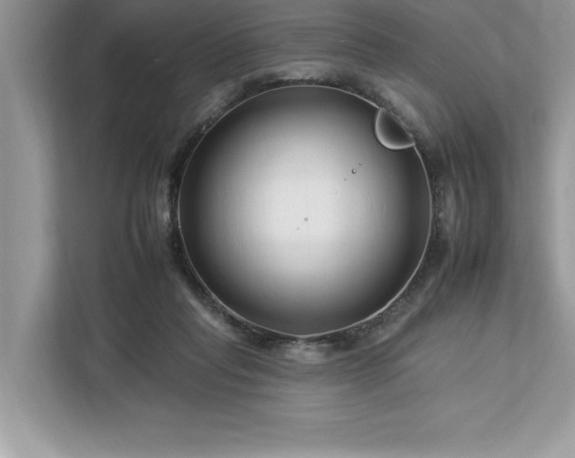 X0000112930261200908241306