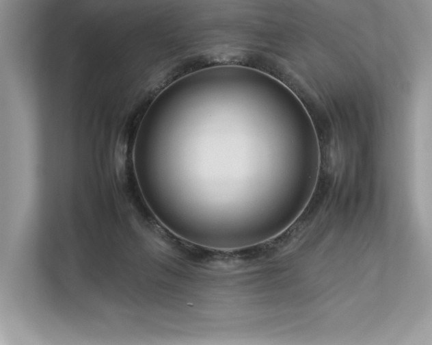 X0000112930263200908241306