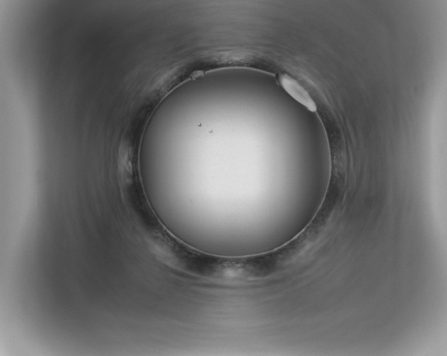 X0000112930264200908241306