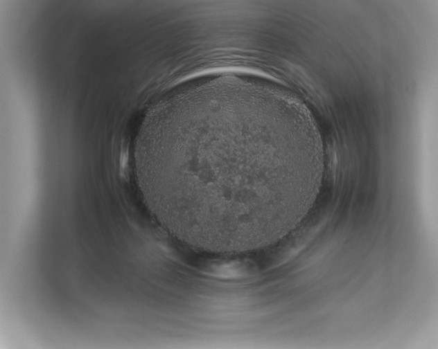 X0000112930267200908241306