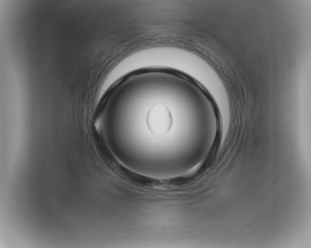 X0000112930268200908241306