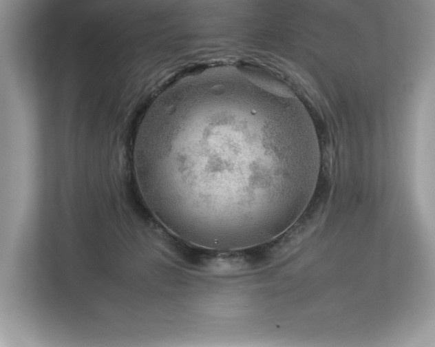 X0000112930270200908241306