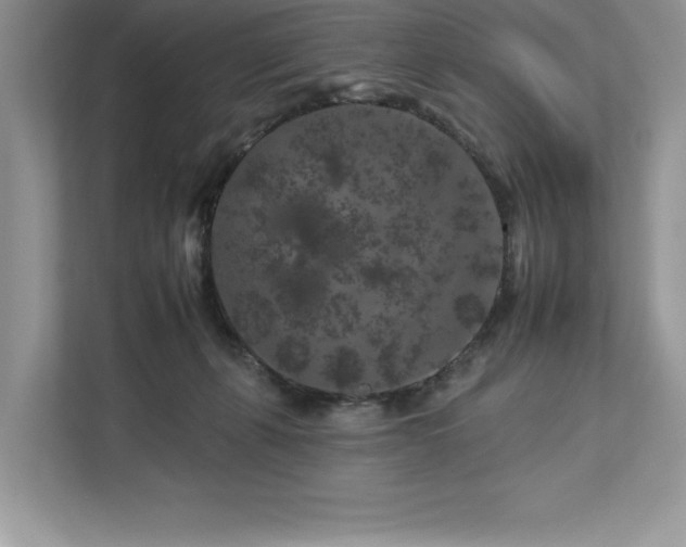 X0000112930271200908241306