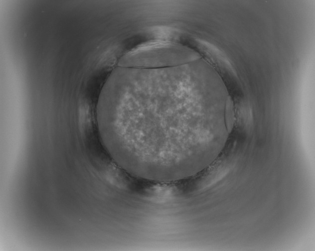 X0000112930272200908241306