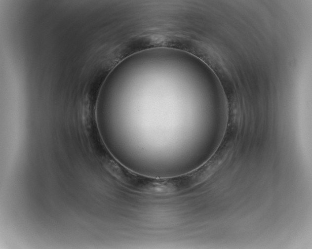 X0000112930275200908241306