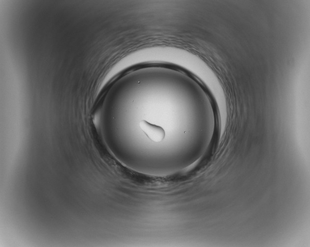 X0000112930276200908241306