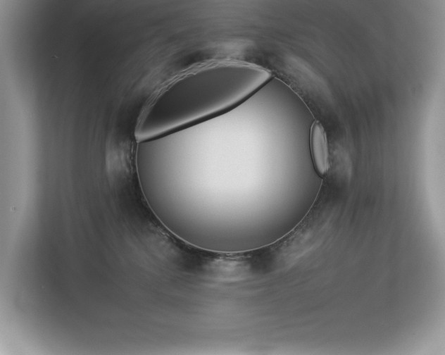 X0000112930280200908241306