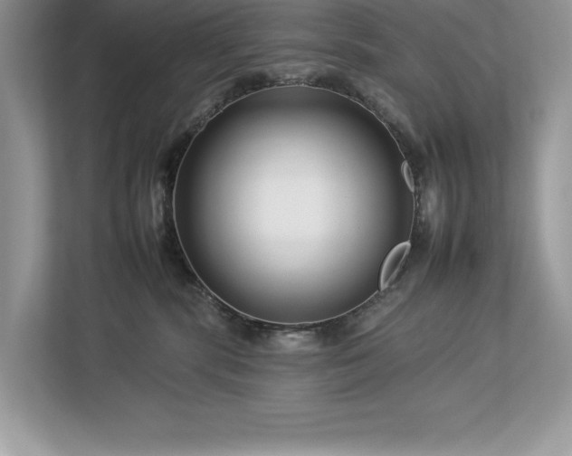 X0000112930283200908241306