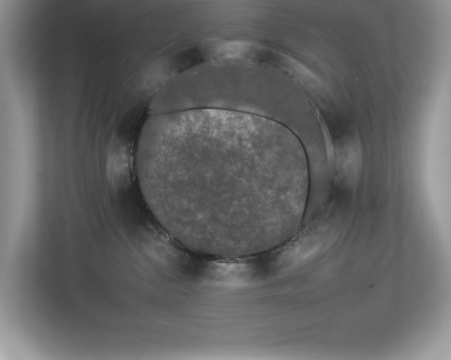 X0000112930284200908241306