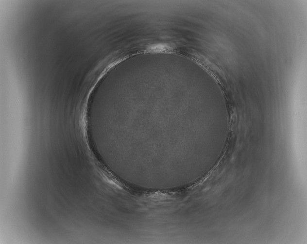 X0000112930290200908241306