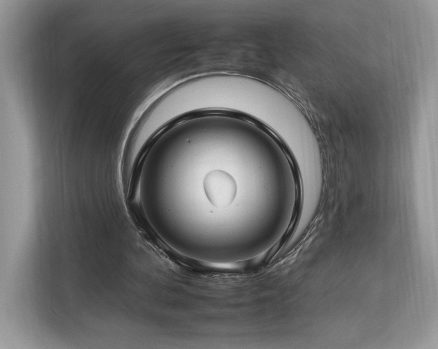 X0000112930292200908241306