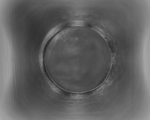 X0000112930293200908241306