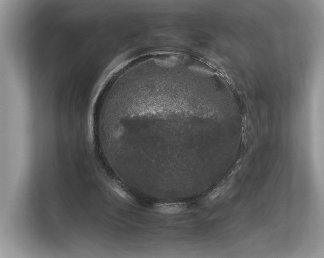 X0000112930296200908241306