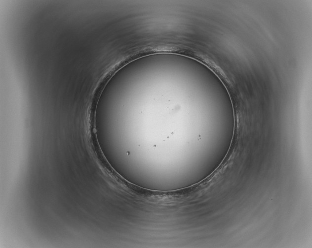 X0000112930297200908241306