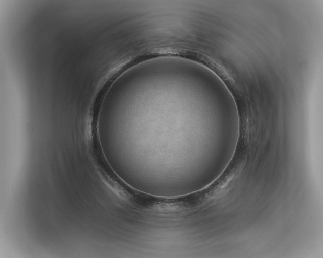 X0000112930299200908241306