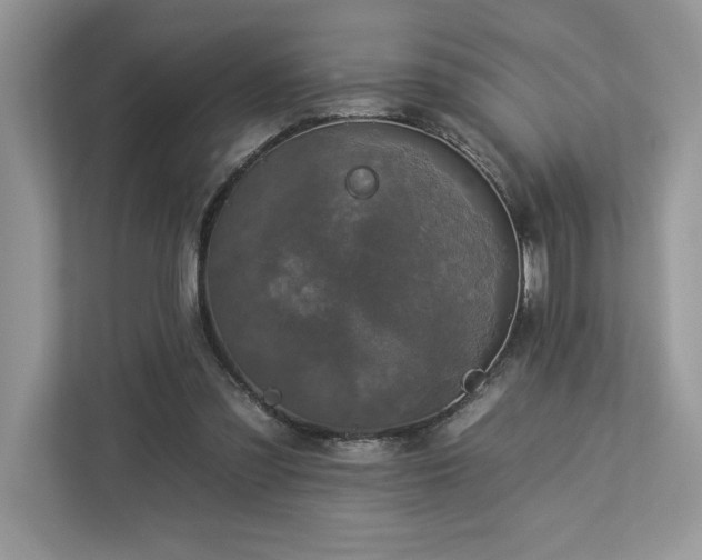 X0000112930301200908241306