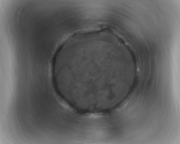 X0000112930303200908241306