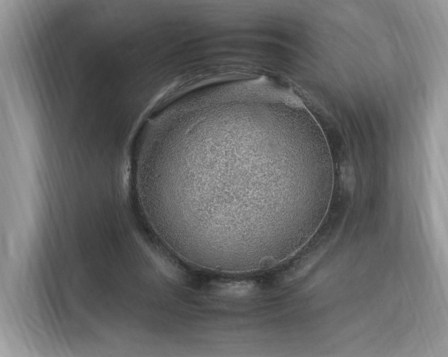 X0000112930304200908241306