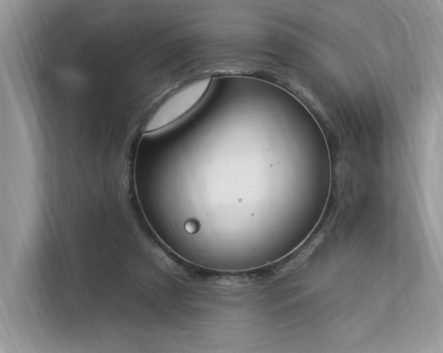 X0000112930305200908241306