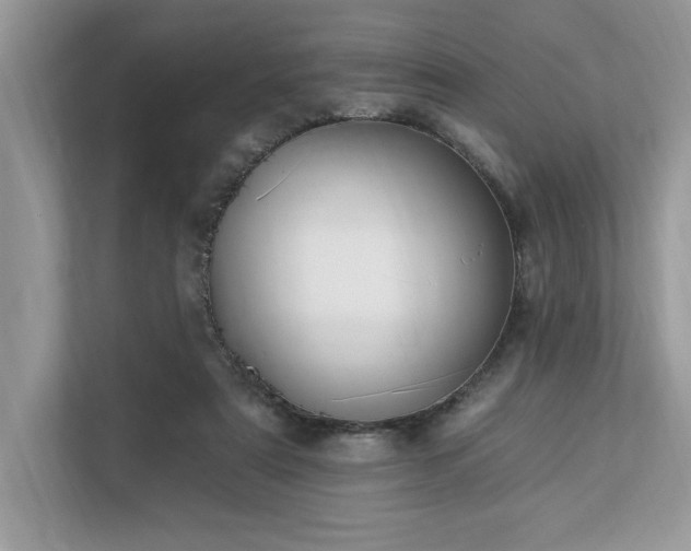 X0000112930307200908241305