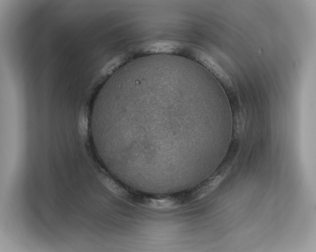 X0000112930309200908241305