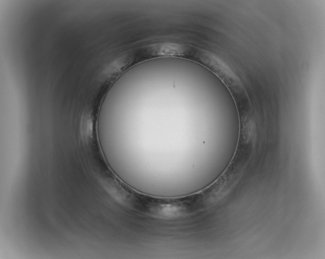 X0000112930310200908241305