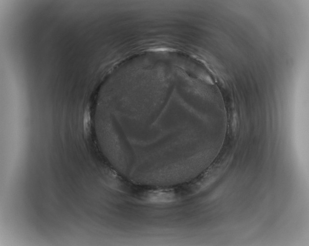 X0000112930320200908241305