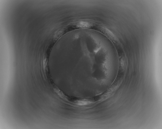 X0000112930322200908241305