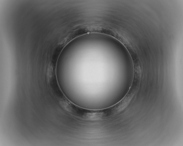 X0000112930323200908241305